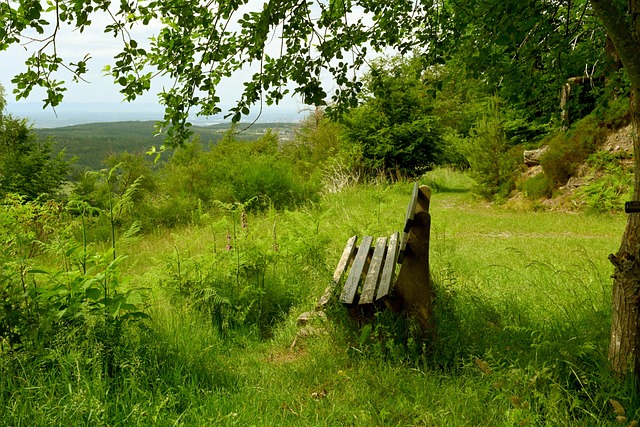 影响一个运 影响一个运