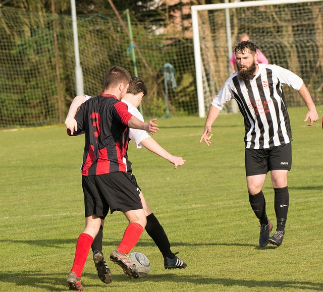 但比赛并非 但比赛并非