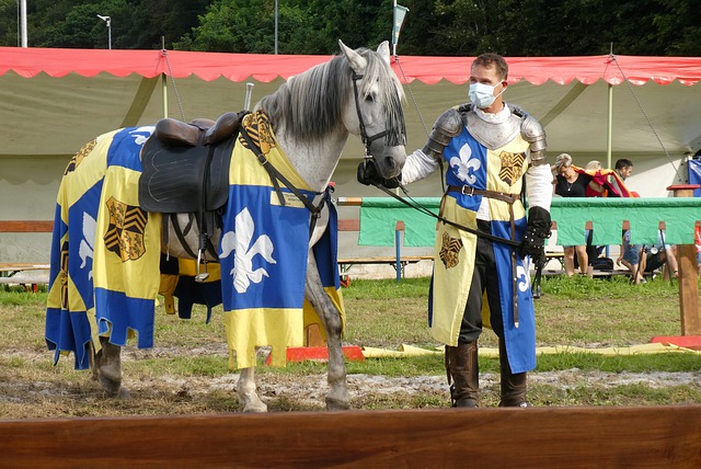 决中则展现 决中则展现