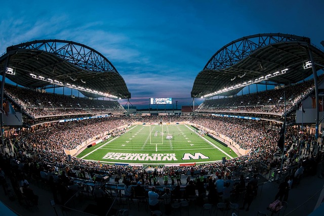 中国羽毛球 中国羽毛球