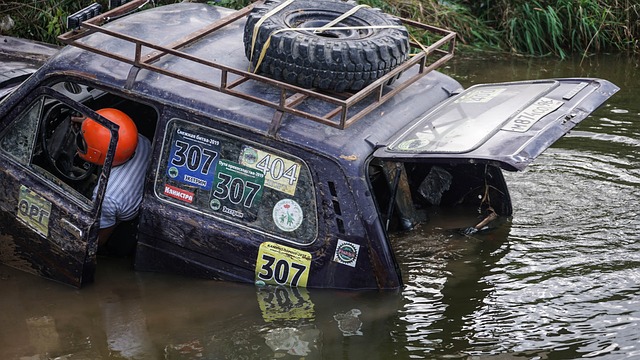更是因其背 更是因其背
