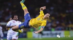 他们在关键 他们在关键